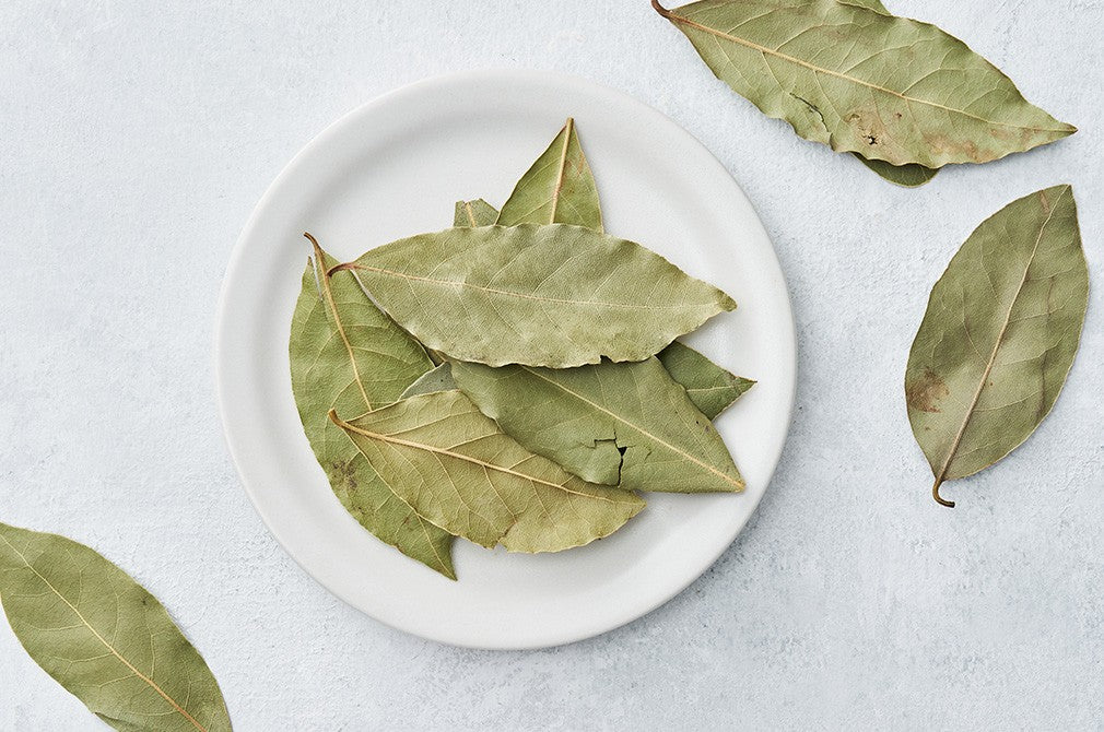[Carmencita] Bay Leaves (카르멘시타 월계수잎)